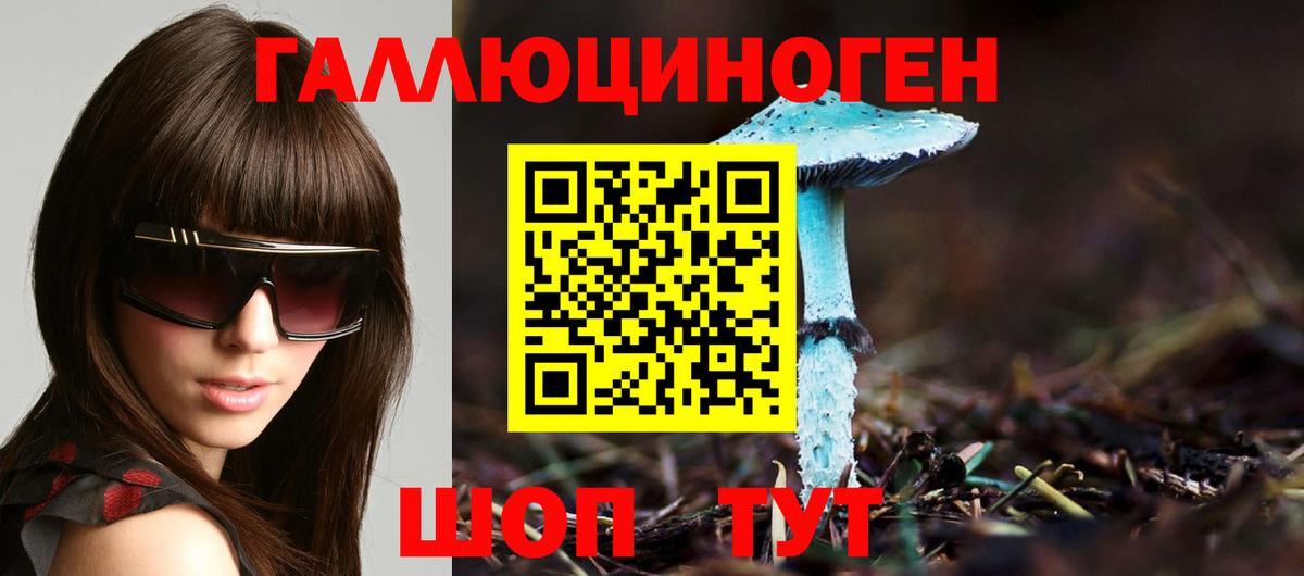 Псилоцибиновые грибы прущие грибы  Псилоцибиновые грибы GOLDEN TEACHER  Вход с VPN  Моздок 